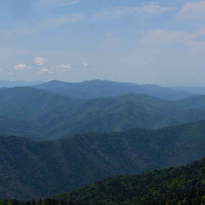 LeConte View